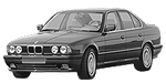 BMW E34 P3100 Fault Code